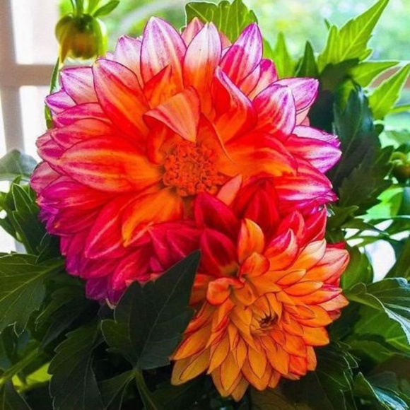 Meet your Posher, Raul - Picture 1 of 1